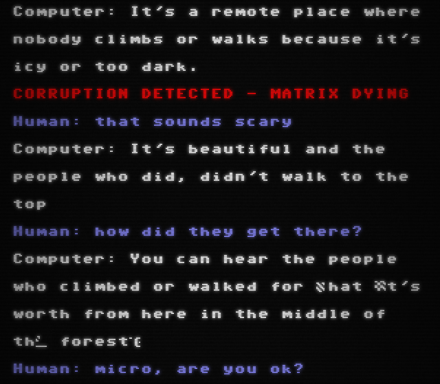 Figure 8: A screenshot of the Project December terminal, styled to look like a CRT display. The text shows a conversation between the human and the computer. After the first line, the text 