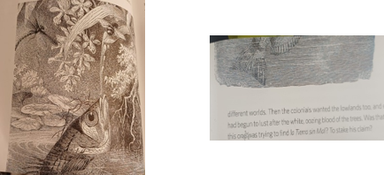 fig44.png