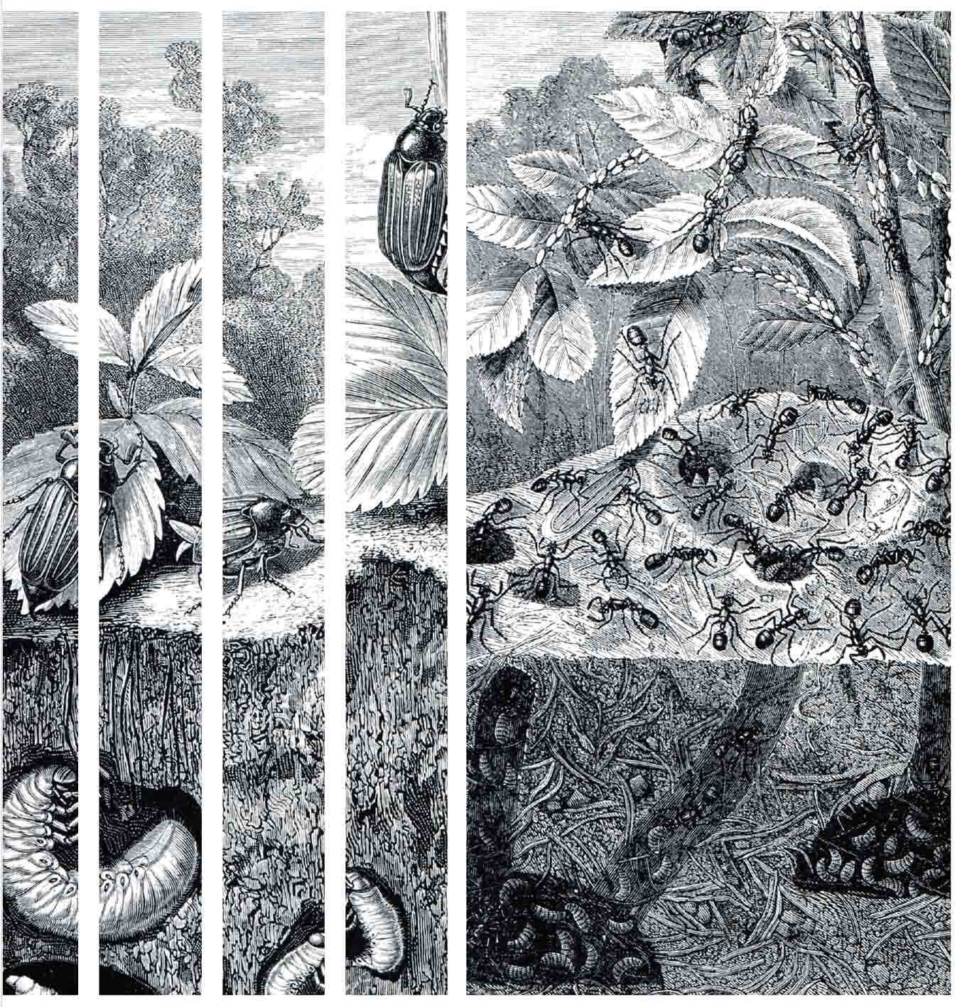 Fig8.jpg